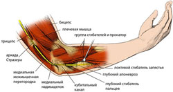 Воспаление локтевого нерва лечебная физкультура