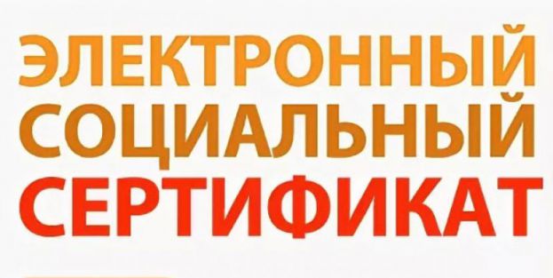 Правительство РФ: инвалидам будут выдаваться электронные сертификаты на приобретение ТСР