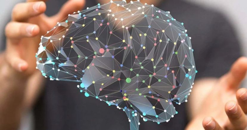 В лаборатории ВШМ СПбГУ и Мегафона студенты разработали нейросеть, способную помогать человеку при нарушениях деятельности сердца и мозга